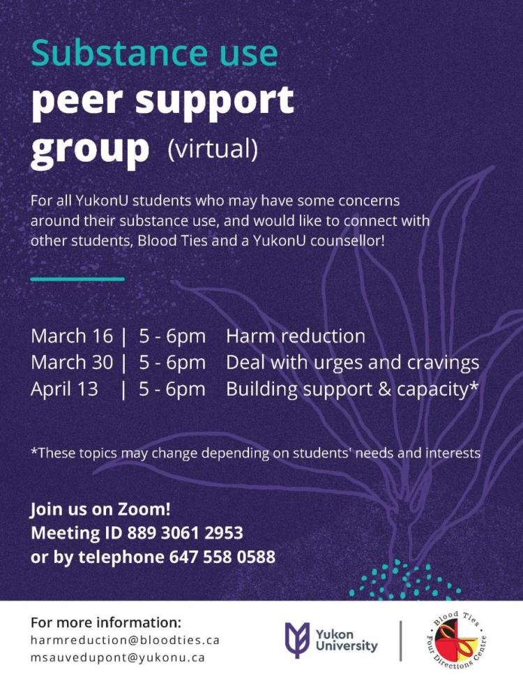 Substance use peer support group virtual Yukon University